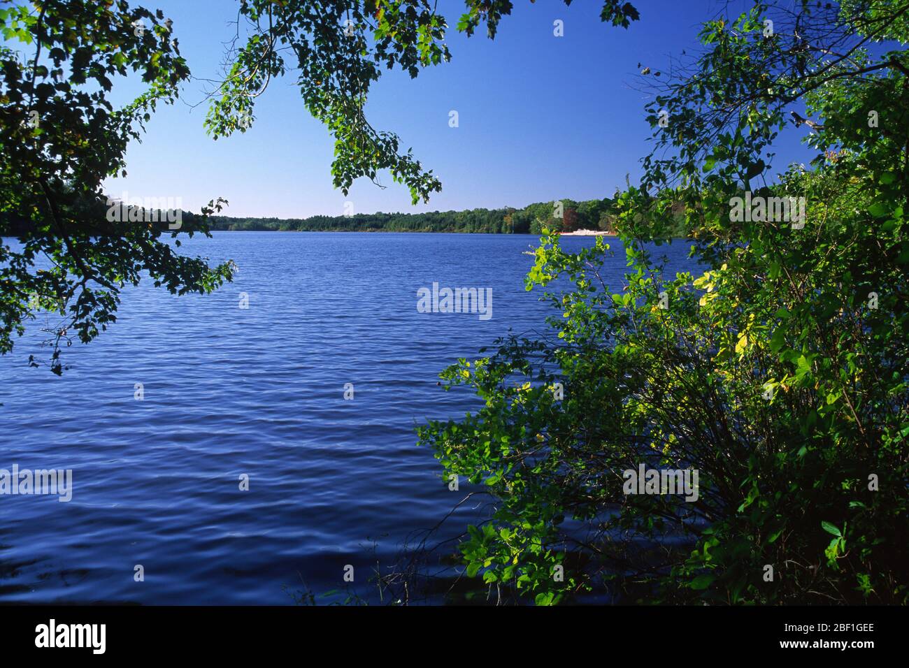 Parvin Lake, Parvin State Park, New Jersey Stock Photo - Alamy