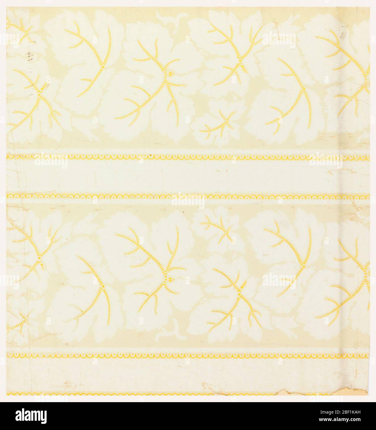 Sidewall and border. Vertical rectangle. Double vertical panels containing dentate leaves in white, with golden yellow veins and scalloped. Printed in colors and glazed. Stock Photo