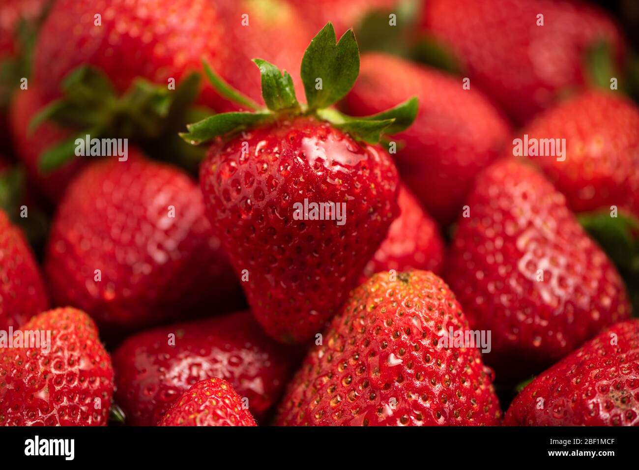 Group of strawberries hi-res stock photography and images - Alamy