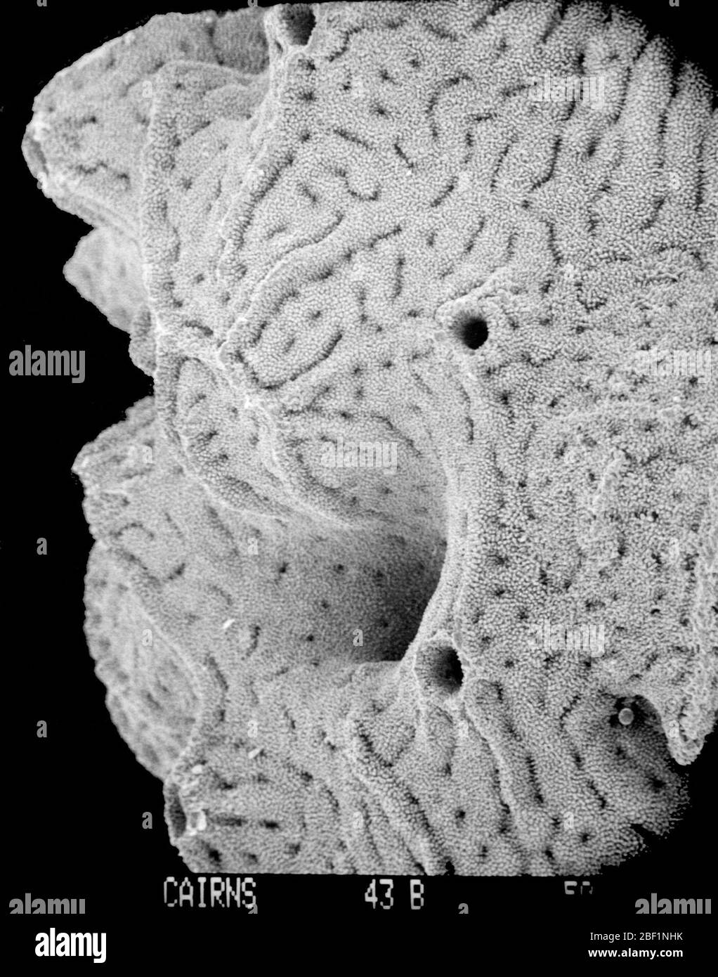 7 2013 Black and White Stock Photos & Images - Alamy