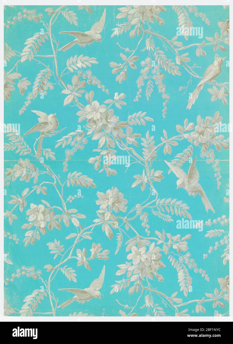 Sidewall. End of a roll, giving complete width. Long-tailed birds, in flight and perched on slender branching stems bearing small leaves, flowers and stalks of seed pods. Printed in gray and white on blue ribbed ground. Stock Photo