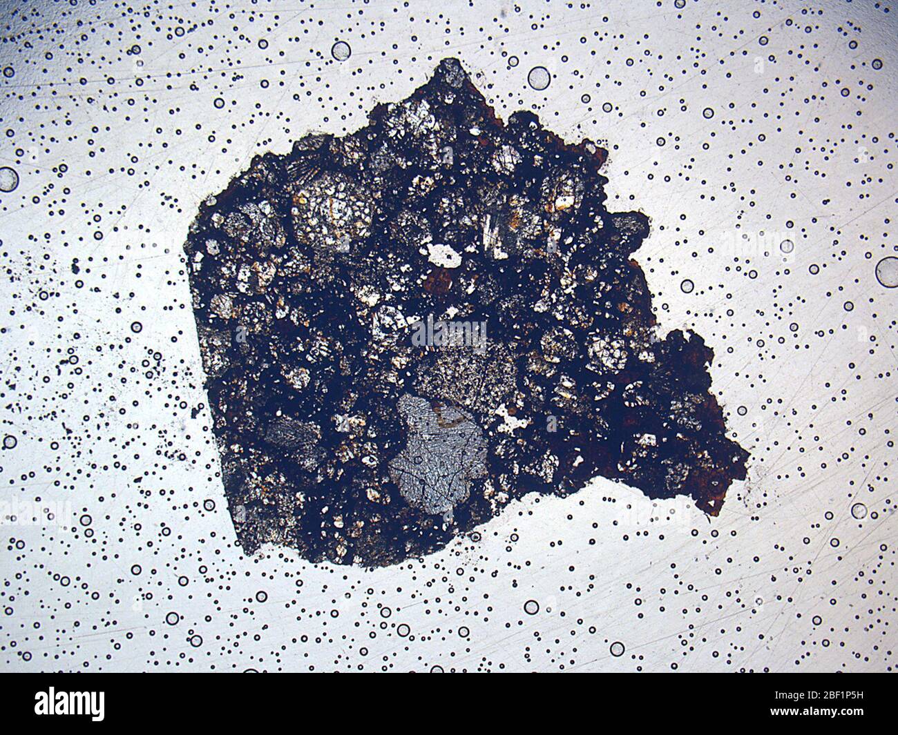 Marion may hires stock photography and images Alamy