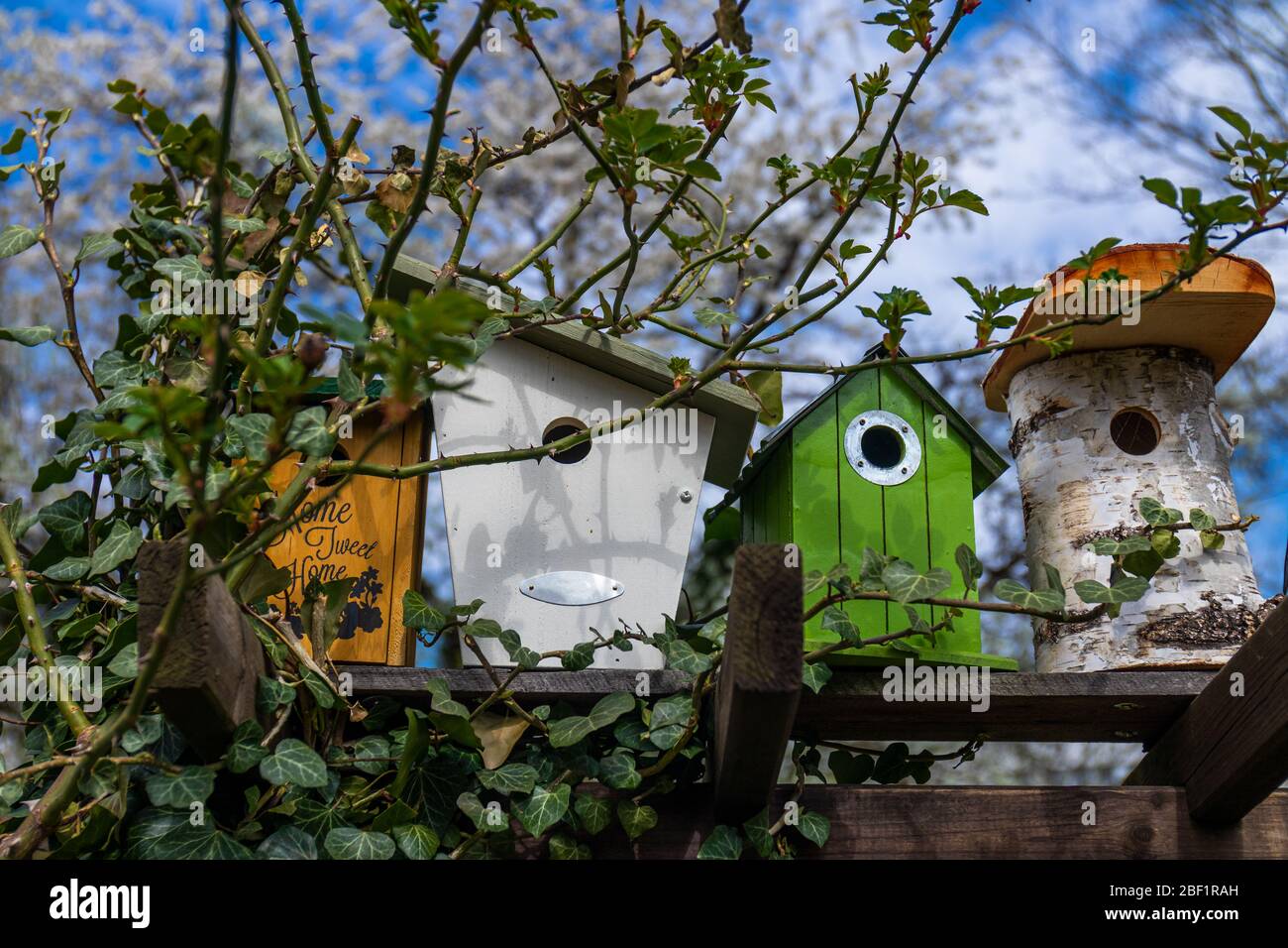 decorative nesting boxes at a gate to a flowering garden Stock Photo