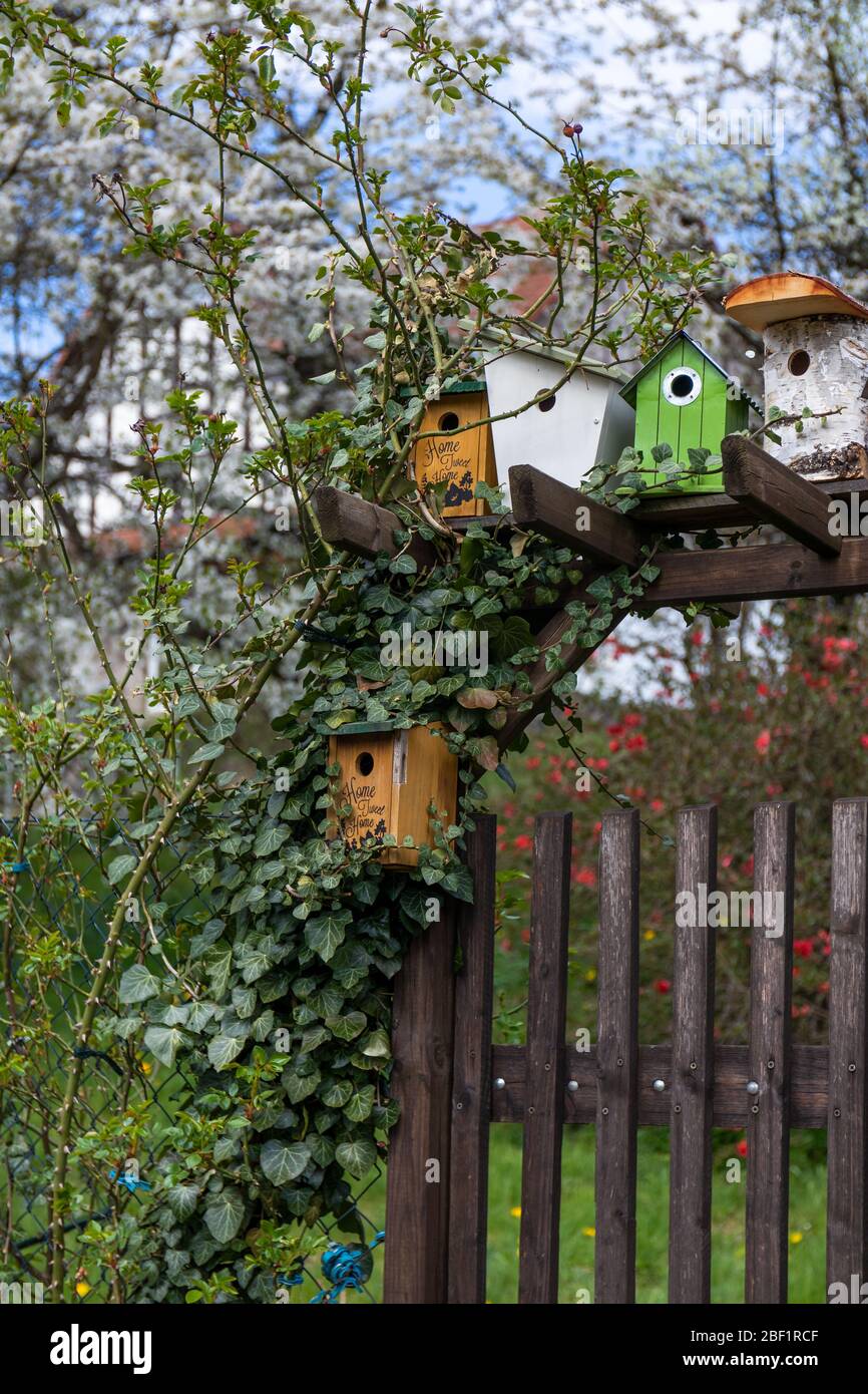 decorative nesting boxes at a gate to a flowering garden Stock Photo