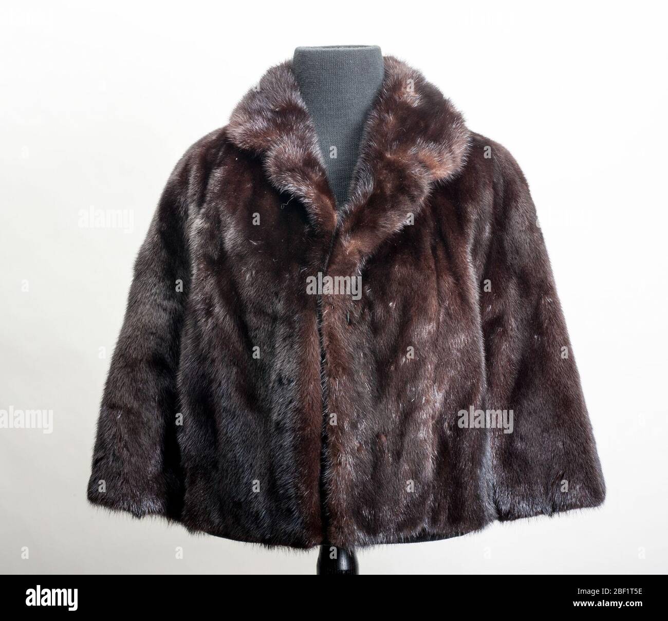 Sable Fur Jacket. Stock Photo