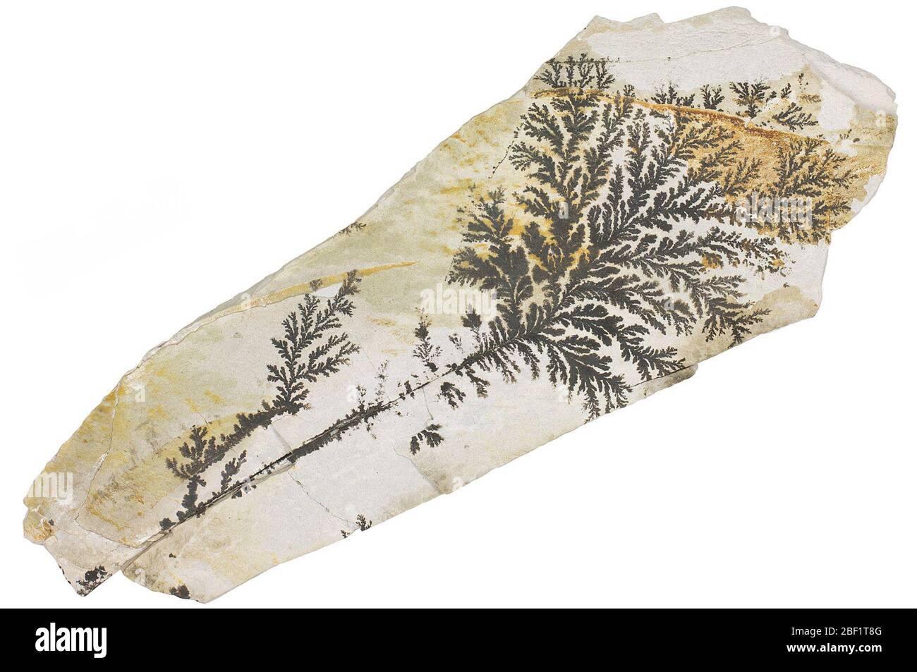 Sedimentary Rock Dendritic Manganese Oxide. This object is part of the Education and Outreach collection, some of which are in the Q?rius science education center and available to see.114 Jan 2020 Stock Photo
