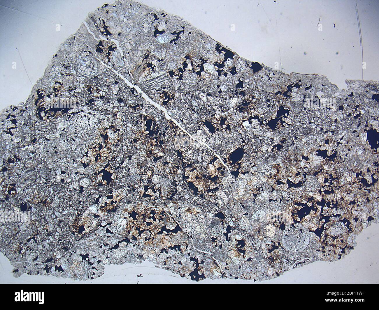 Pulsora. 23 Aug 201812697501 Stock Photo - Alamy