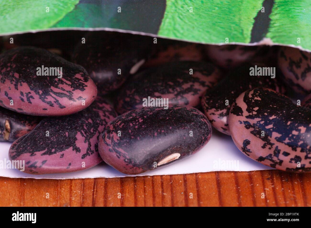 Runner bean seeds in opened packet. British Isles Stock Photo Alamy