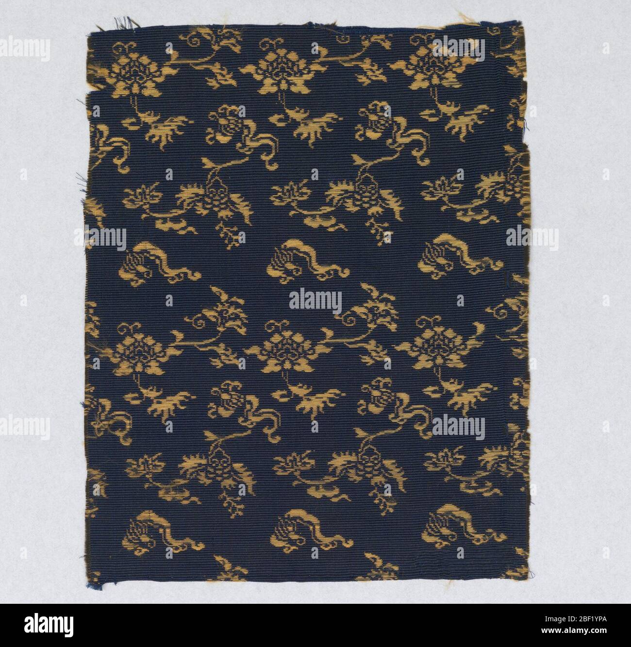 Design One Size Navy NCAA Scarf Navy /& Gold Go Navy Beat Army
