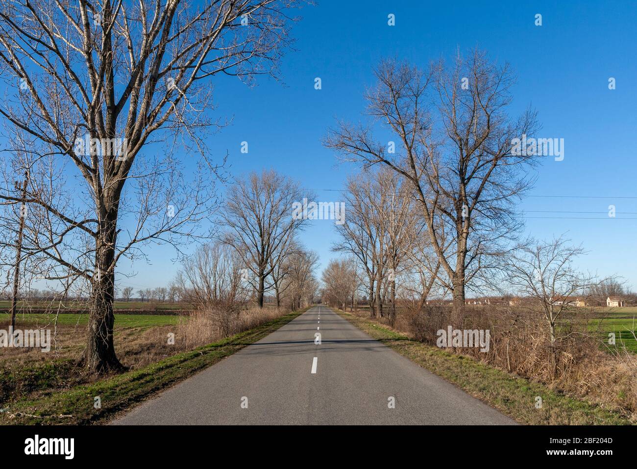 Road on the Great Hungarian Plain near Szabadszallas in Hungary on a sunny winter day. Stock Photo