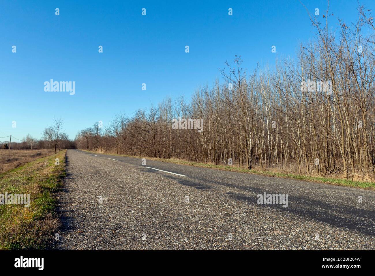 Road on the Great Hungarian Plain near Szabadszallas in Hungary on a sunny winter day. Stock Photo