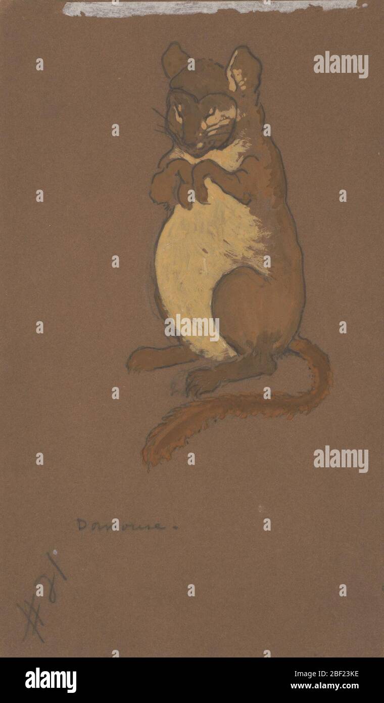 Dormouse costume design for AliceinWonderland 1915 Stock Photo Alamy