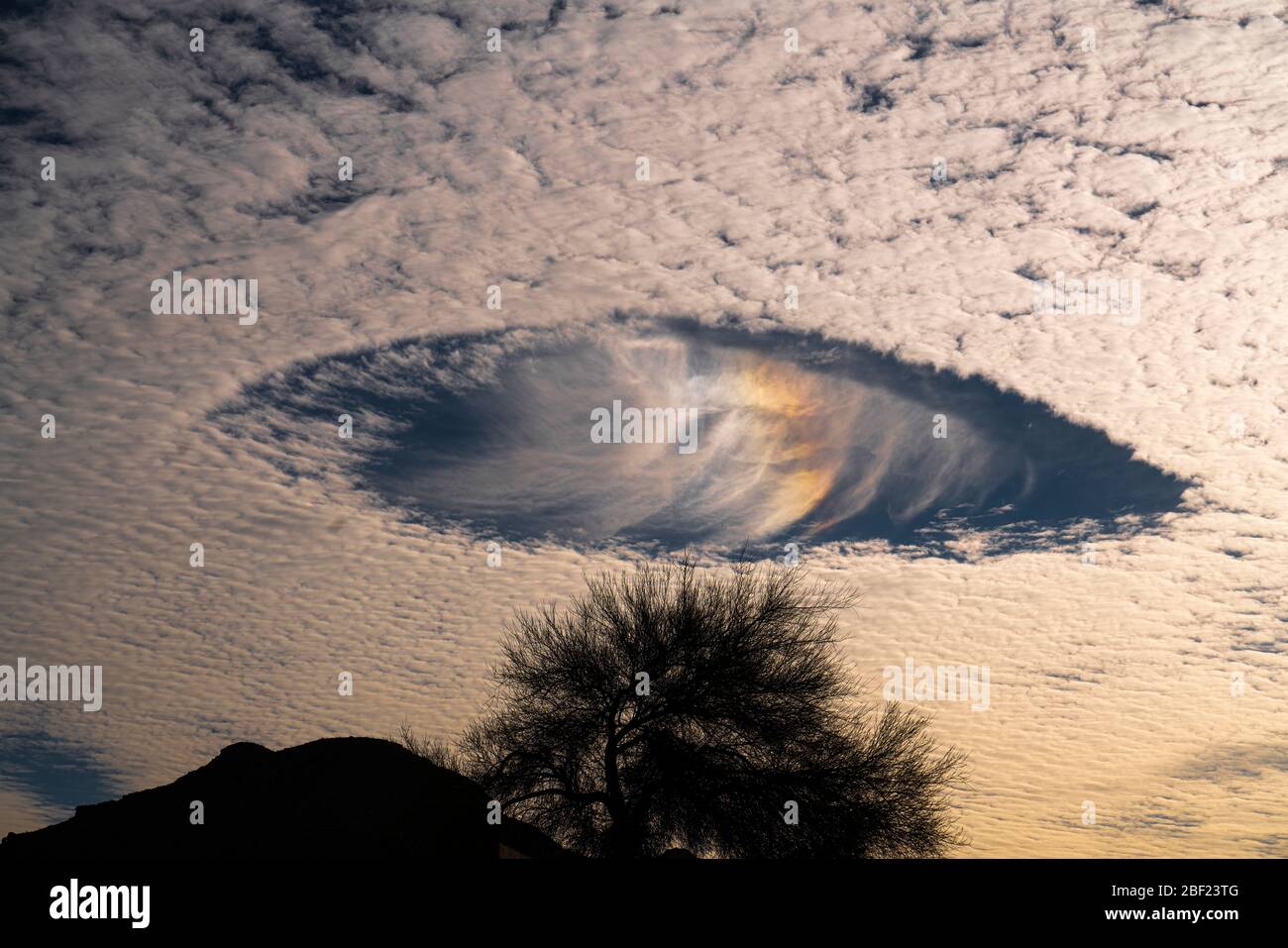 Fallstreak holes with rainbows in altocumulus clouds looking like spaceships in the morning sky Stock Photo