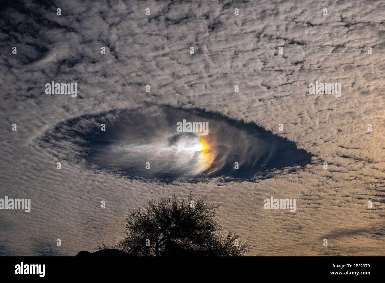 Fallstreak holes with rainbows in altocumulus clouds looking like spaceships in the morning sky Stock Photo