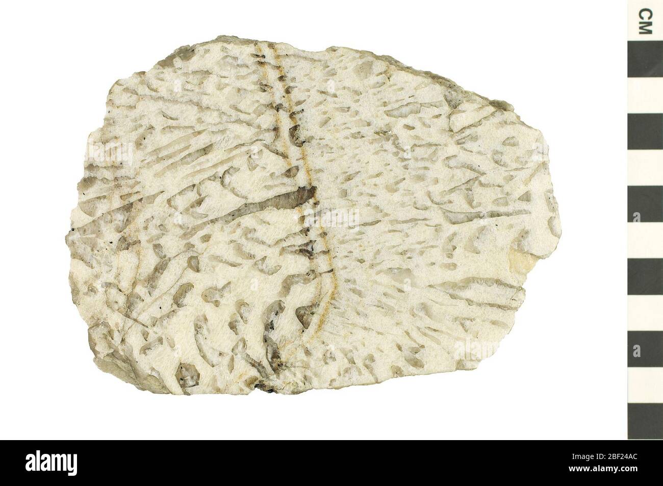 Mineral patterns hi-res stock photography and images - Alamy