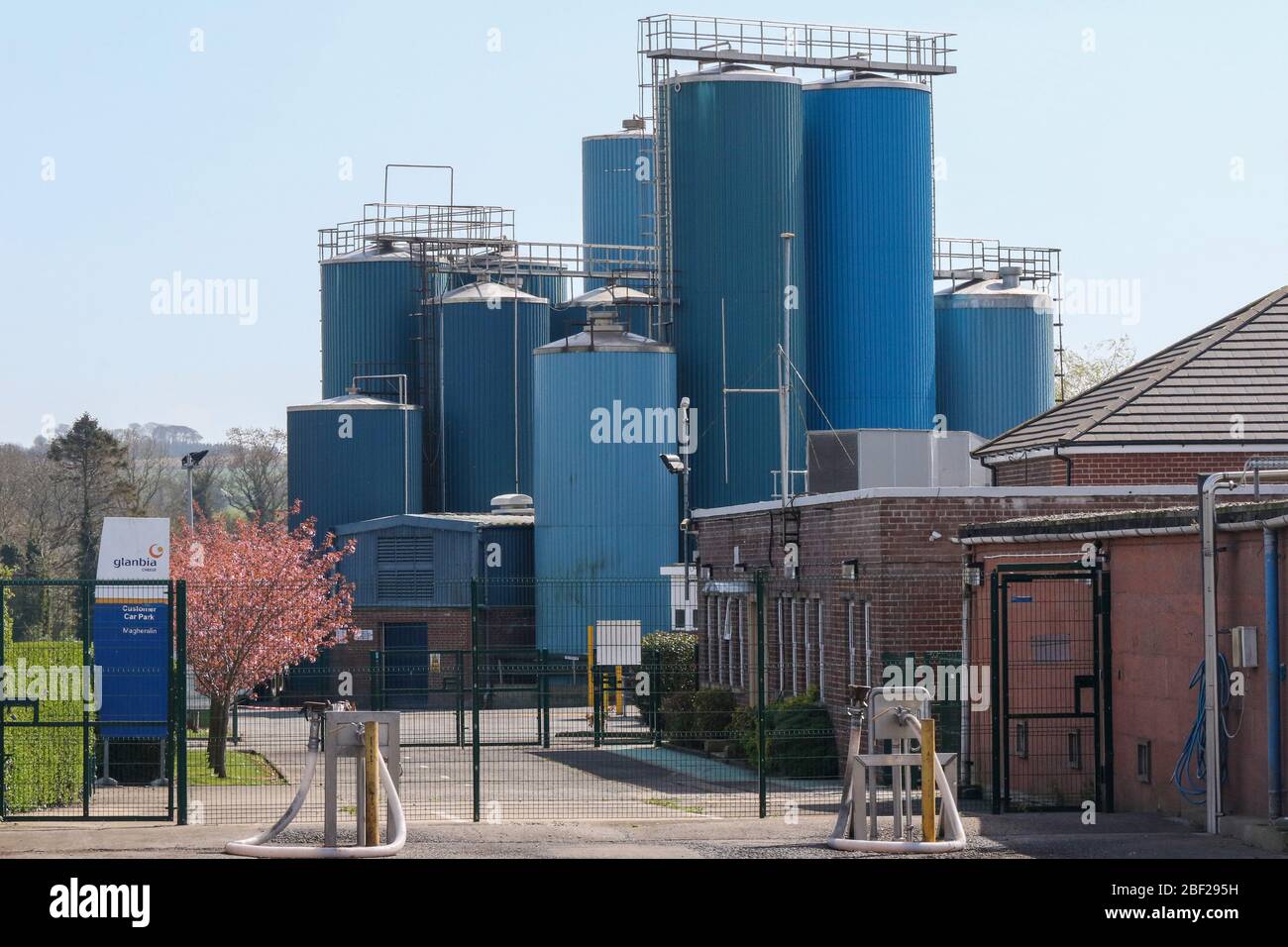 Mozzarella cheese manufacturer, cheese plant and silos at the Glanbia