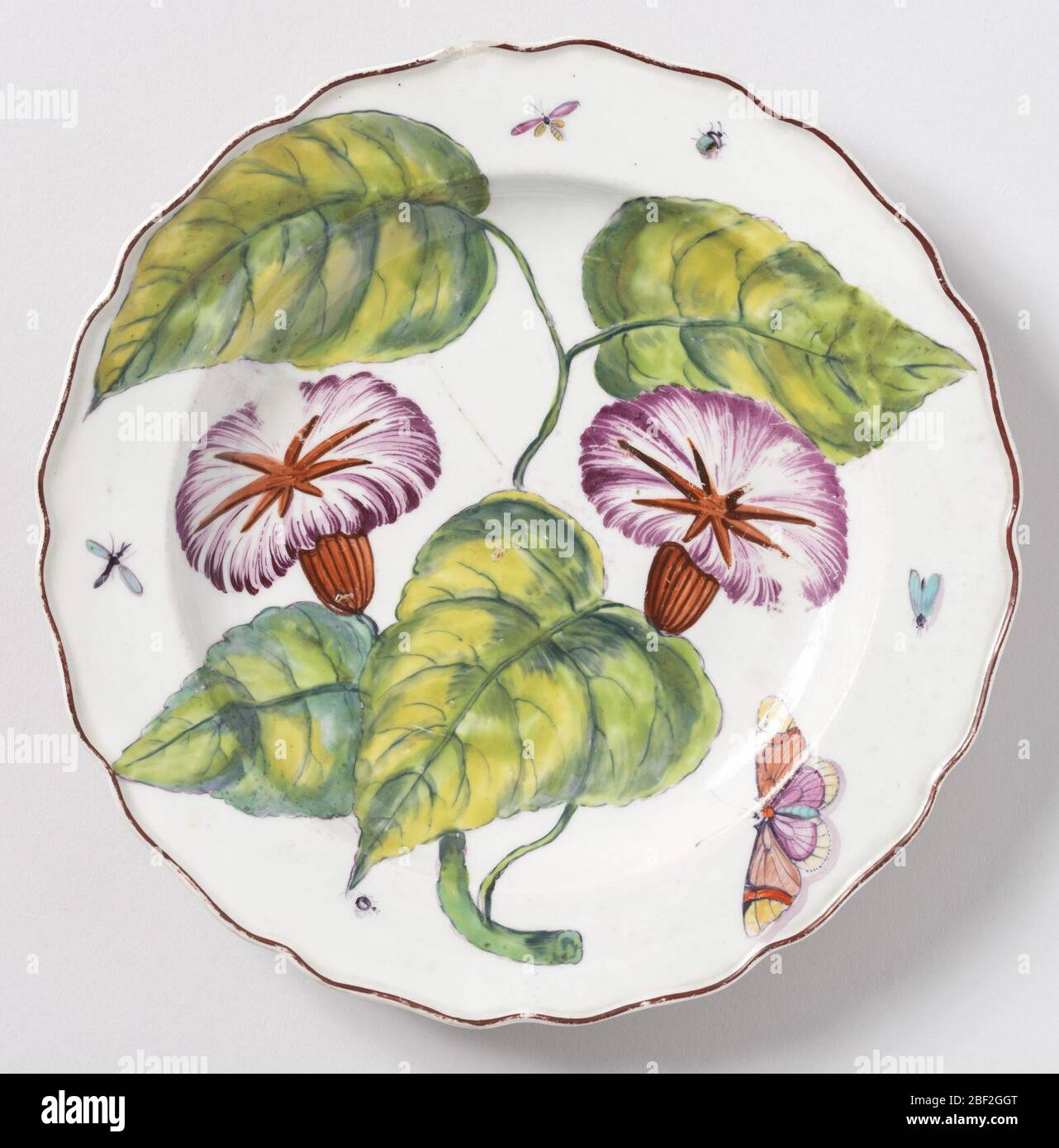 Plate. A plate with a wavy, brown-edged rim, painted with a large branch of convolvulus/bindweed (Ipomoea purpurea) and various insects. Stock Photo