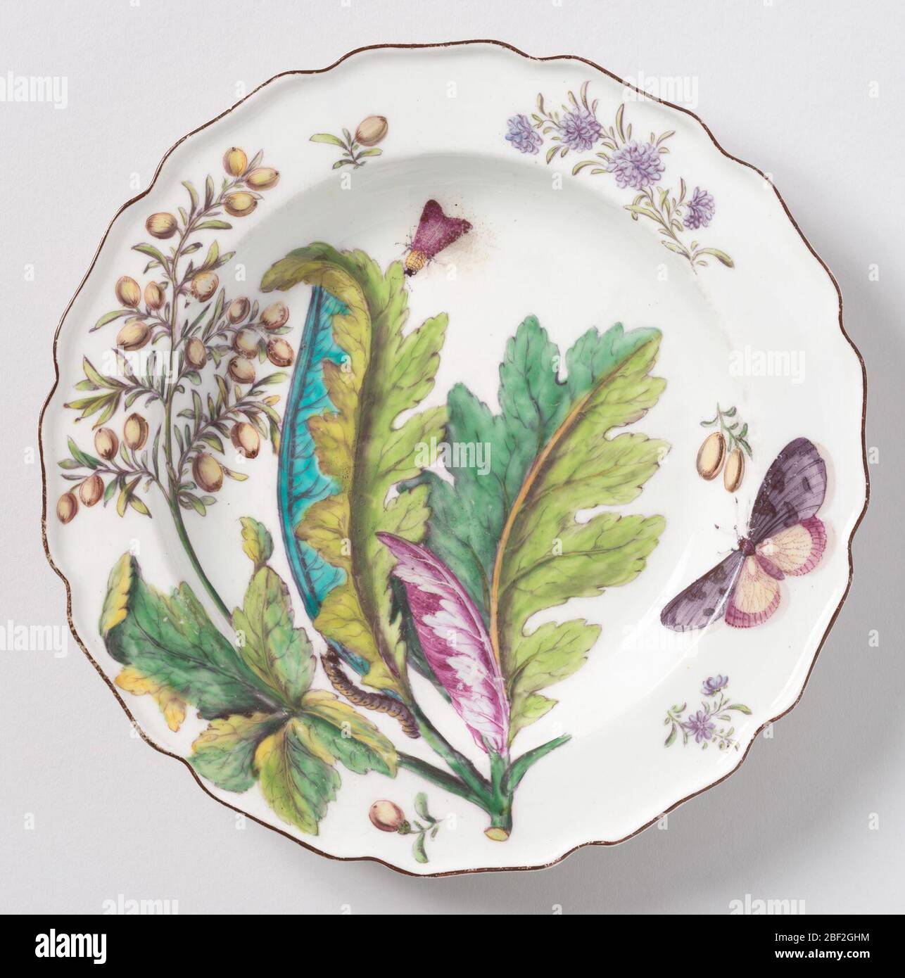 Plate. A plate with a wavy, brown-edged rim painted with a branch of bocconia/parrot weed (Bocconia frutescens) leaves, various sprigs, a caterpillar, and two winged insects. Stock Photo
