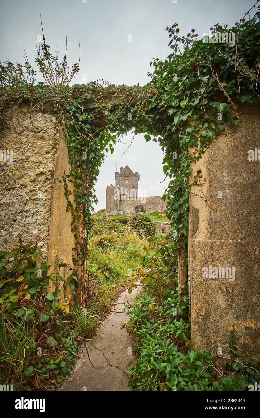 Dunguaire Castle seen through the window of a nearby house ruin Stock Photo