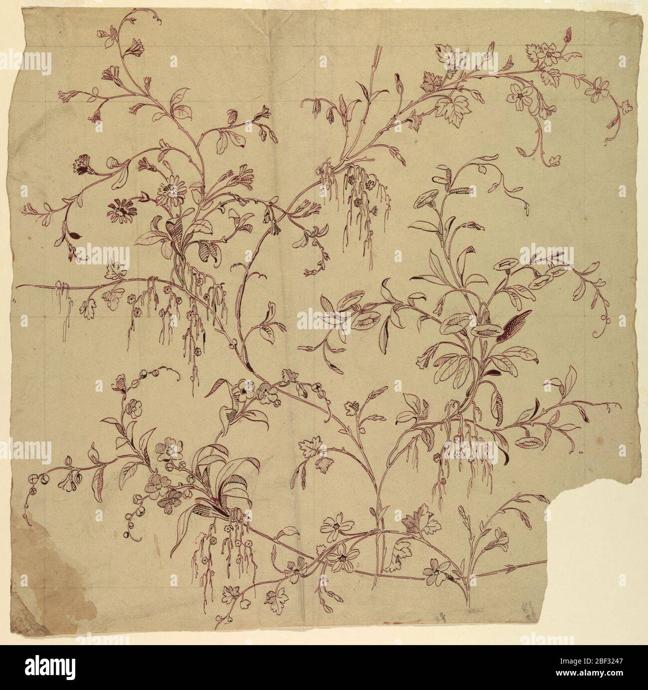 Design for a Woven or Printed Fabric or Wallpaper. One repeat is shown consistsing of undulated rising flower stems which are crossed at the bottoms by a horizontally disposed bough. Right bottom: figures, in pencil. Verso: account and remnants of another line: '3 pieces'; the last line: '3- frames'. Stock Photo
