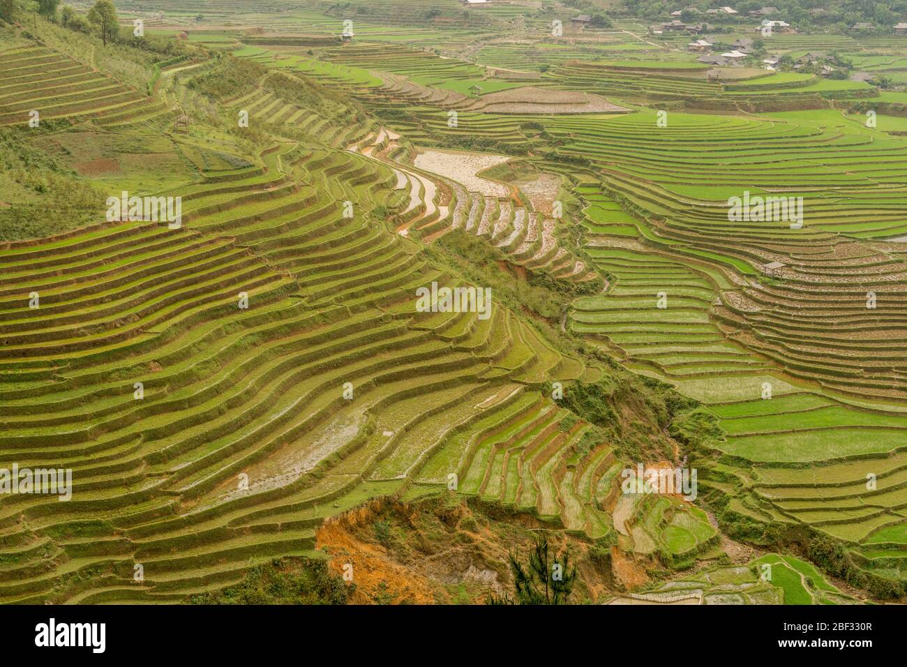 Rice terraces from the Cao Pha Village Viewpoint in Mu Cang Chai, Vietnam Stock Photo