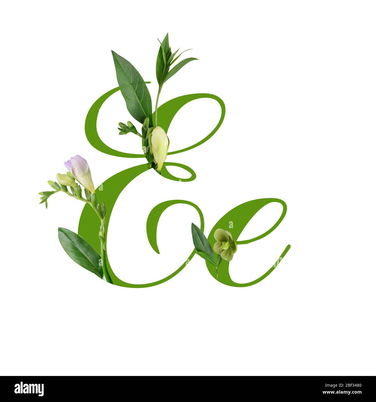 Letter E with beautiful flowers on white background Stock Photo