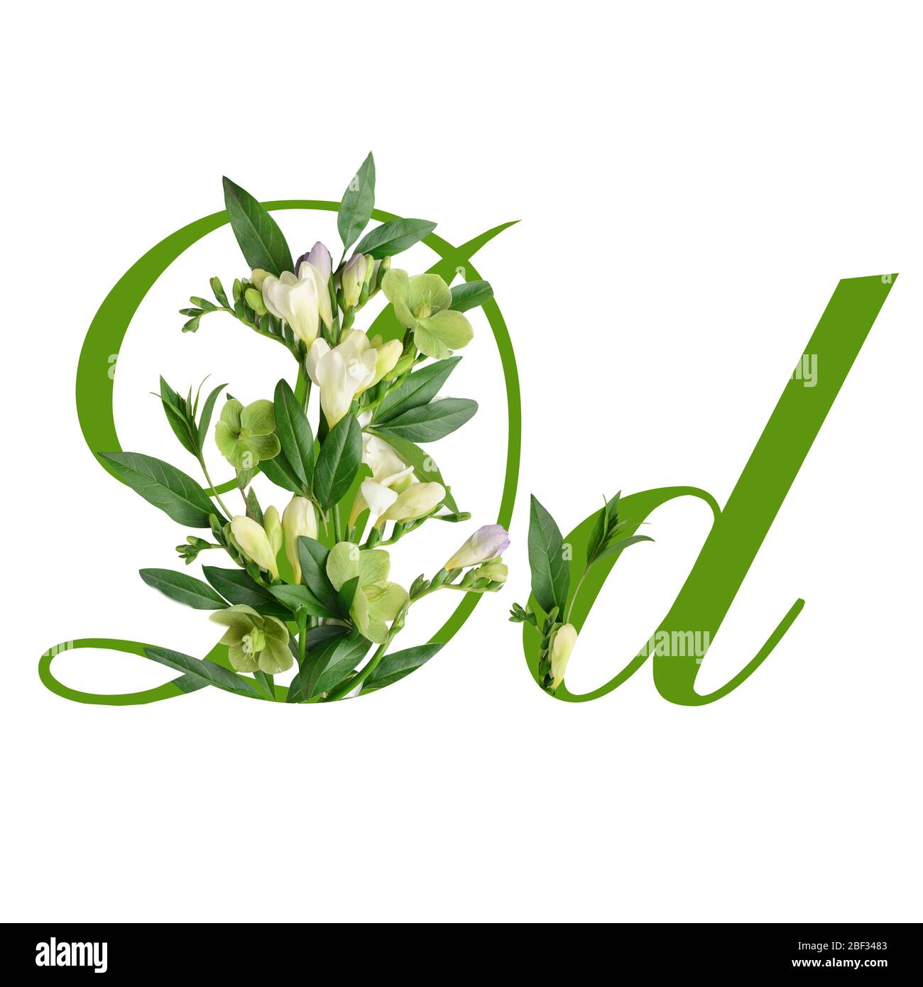 Letter D with beautiful flowers on white background Stock Photo