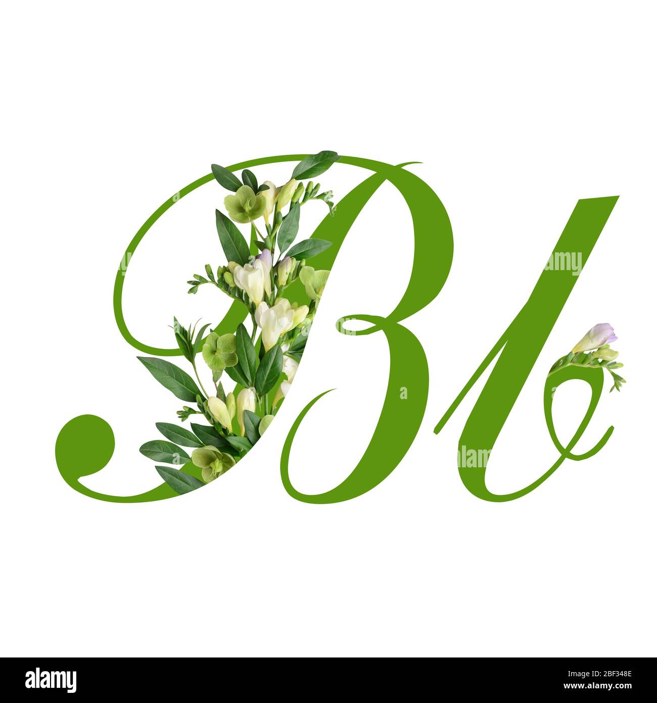 Letter B with beautiful flowers on white background Stock Photo - Alamy