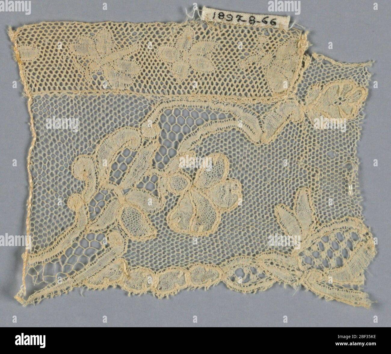 Fragment. Fragment of Brussels lace with a scroll and connected ovals has decorative and clothwork fillings. Flower sprigs form part of the scrolling form. Vrai droschel ground and a small border a Valenciennes-style fragment to top. Stock Photo