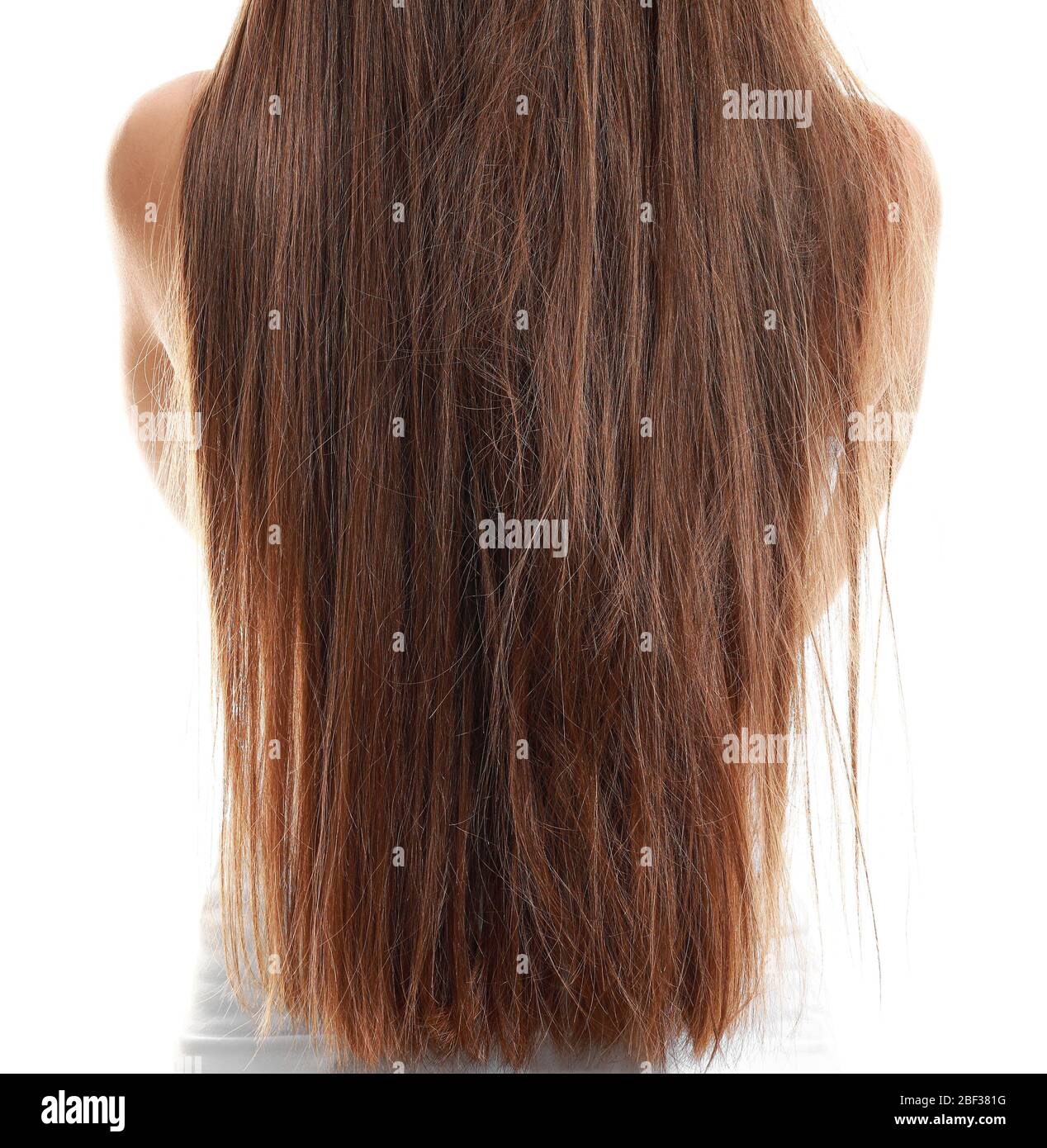 long brown hair tumblr girls from the back