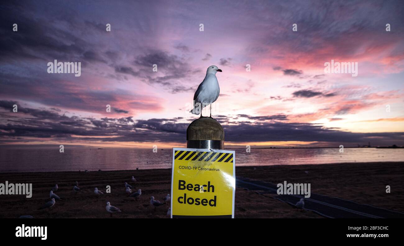 Covid-19, coronavirus, pandemic crisis in Melbourne Australia 2020. A 'Beach Closed' sign at St Kilda Beach Melbourne, closed due to the pandemic. Stock Photo