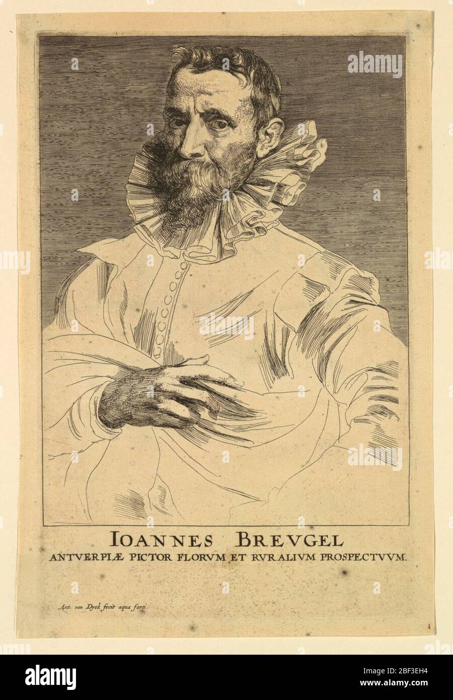 Portrait of Jan Brueghel I from Icones Principum Virorum. Portrait of a bearded man, turned toward the left, looking out at the spectator. He wears a large collar, and his right hand is visible, holding the folds of his cloak. Stock Photo