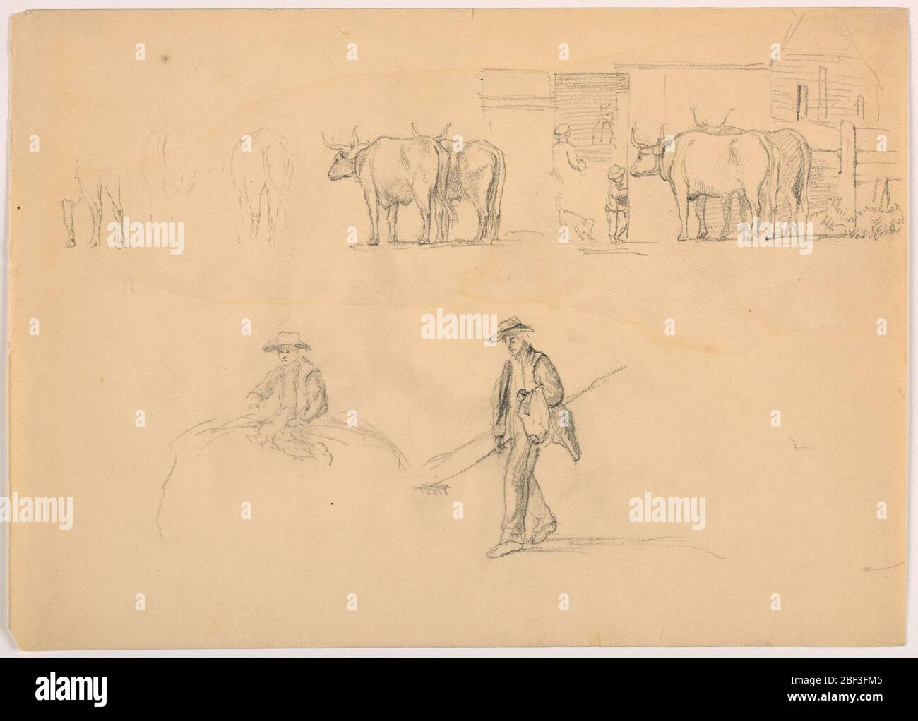 Sketches in Barnyard Oxen and Farmer with Rake. Top half, oxen shaded and outlined. At right, the barn door, with figures and a dog. Below, at left, boy on a hay pile. At right, man walking with a rake. Stock Photo