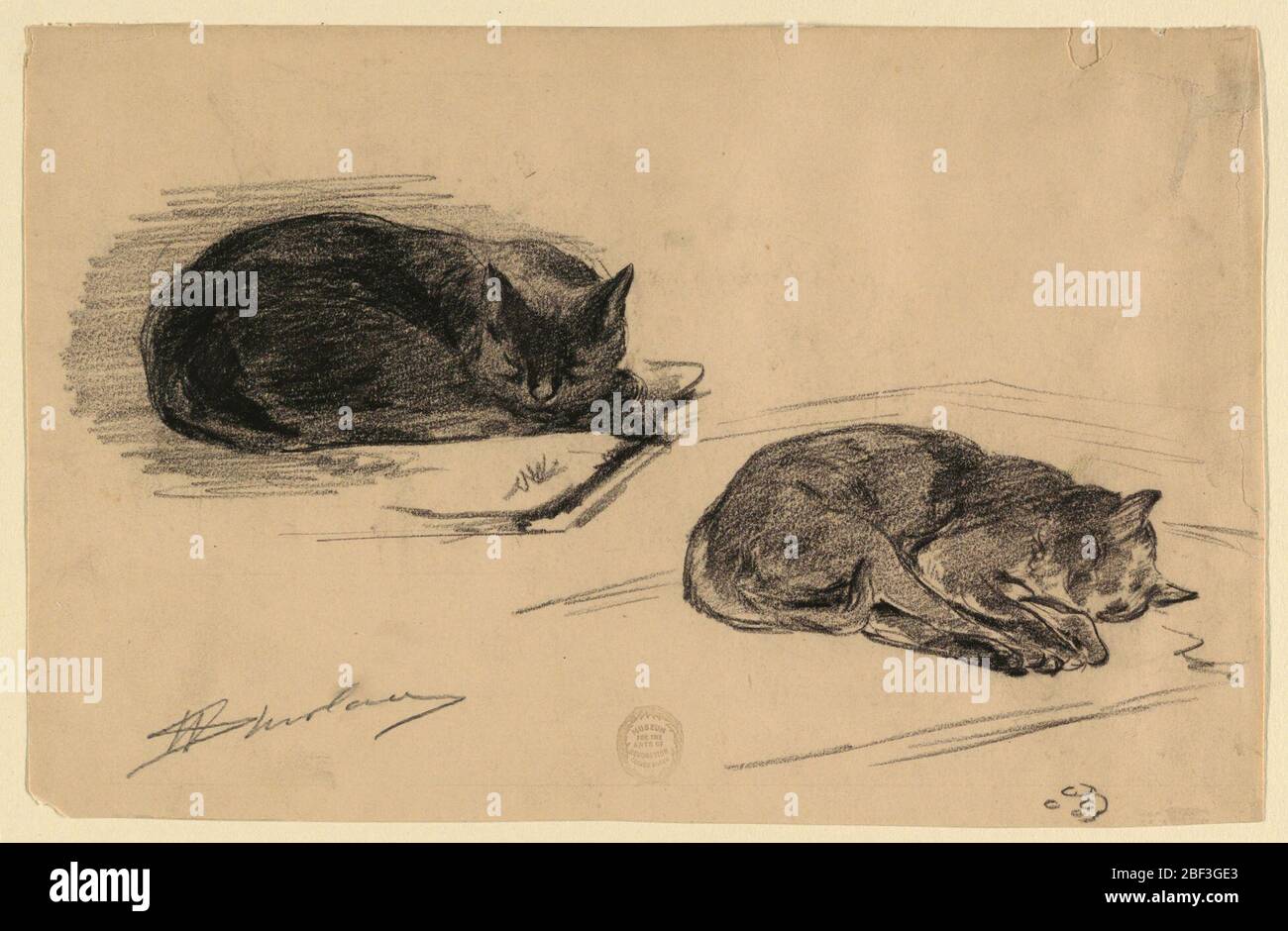 Study of Cats. Studies of two sleeping cats. Outline of paw print, lower right. Stock Photo