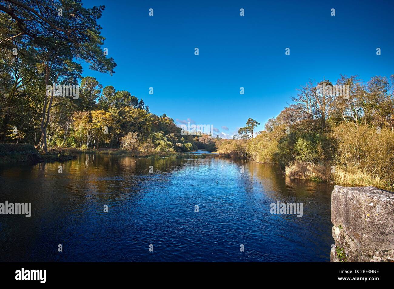 Cong Forest Recreation area Cong, County Mayo Republic of Ireland Europe Stock Photo