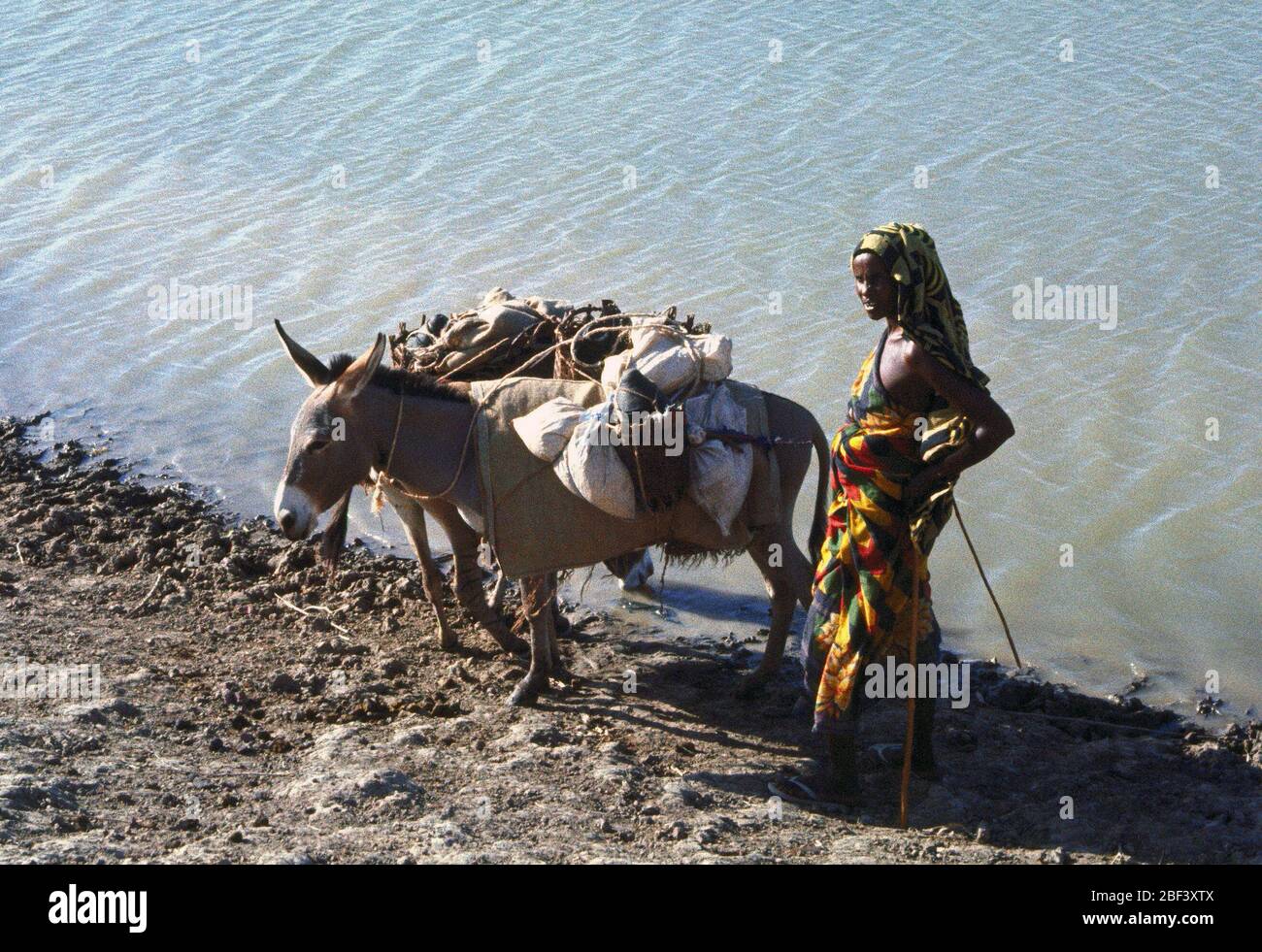 A Somali woman and her donkey by the water near Belet Weyne Somalia during Operation Continue Hope in 1993 Stock Photo