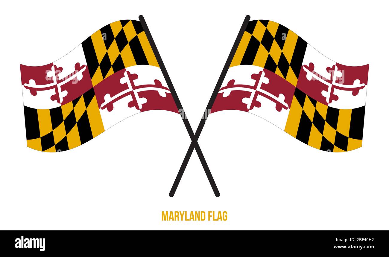 Two Crossed Waving Maryland Flag On Isolated White Background. United ...