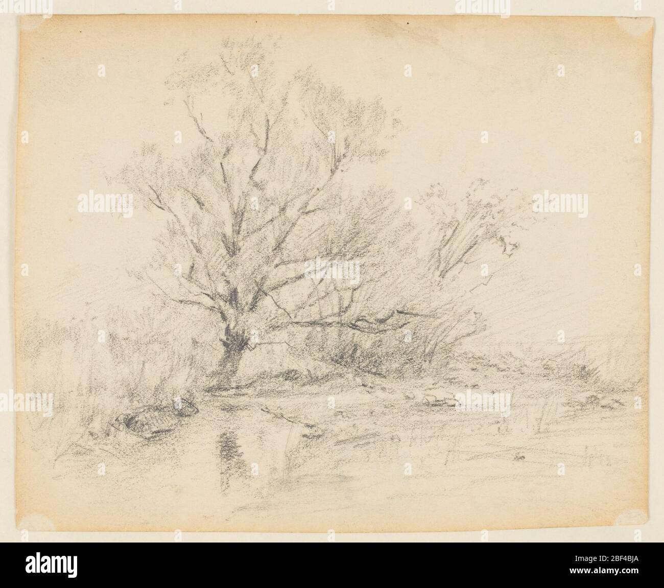 Sketch of Landscape. Trees are shown in the central middle distance ...