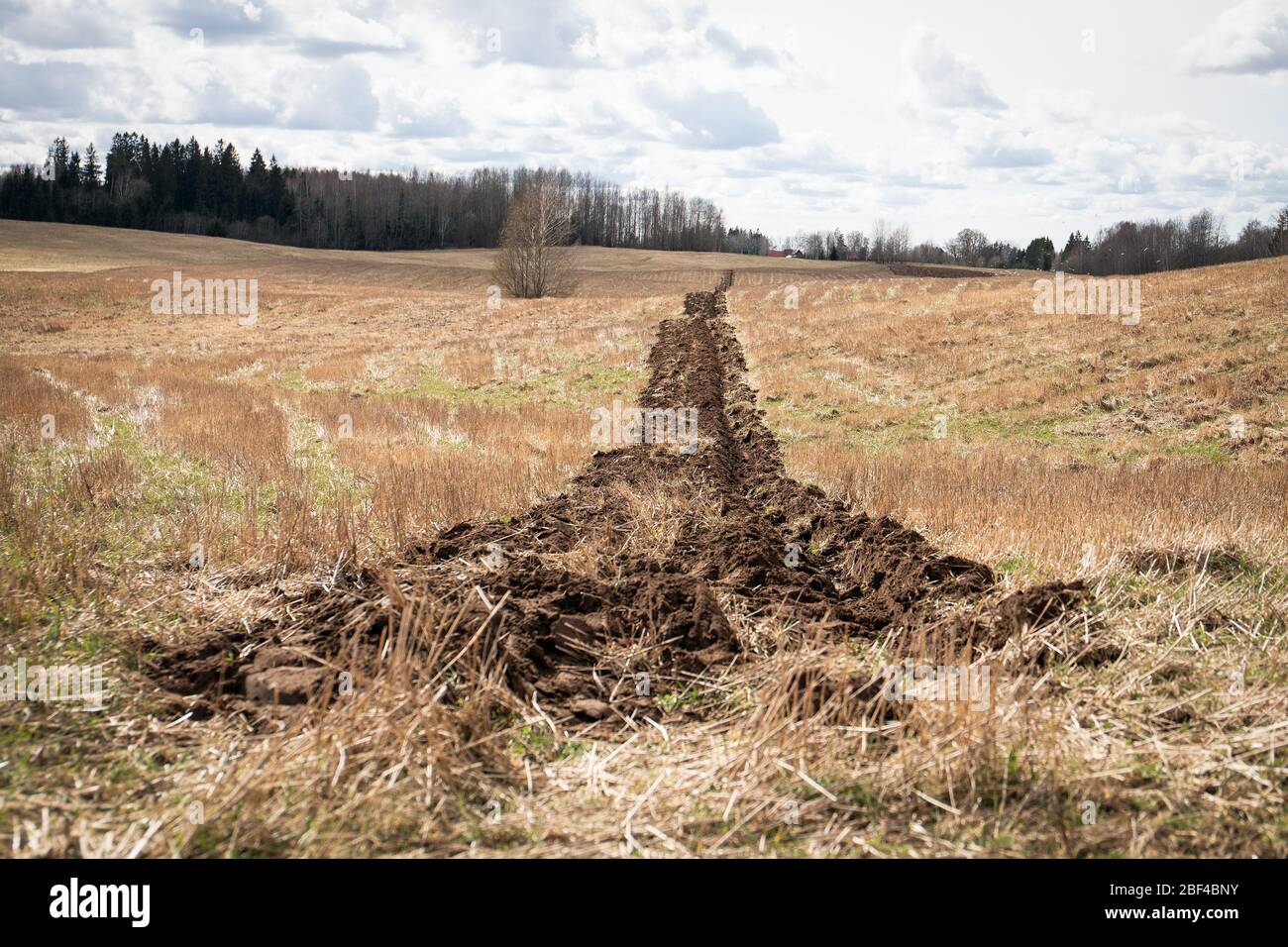 Farming Before Spring Farmer plowing before sowing hi-res stock photography and images - Alamy