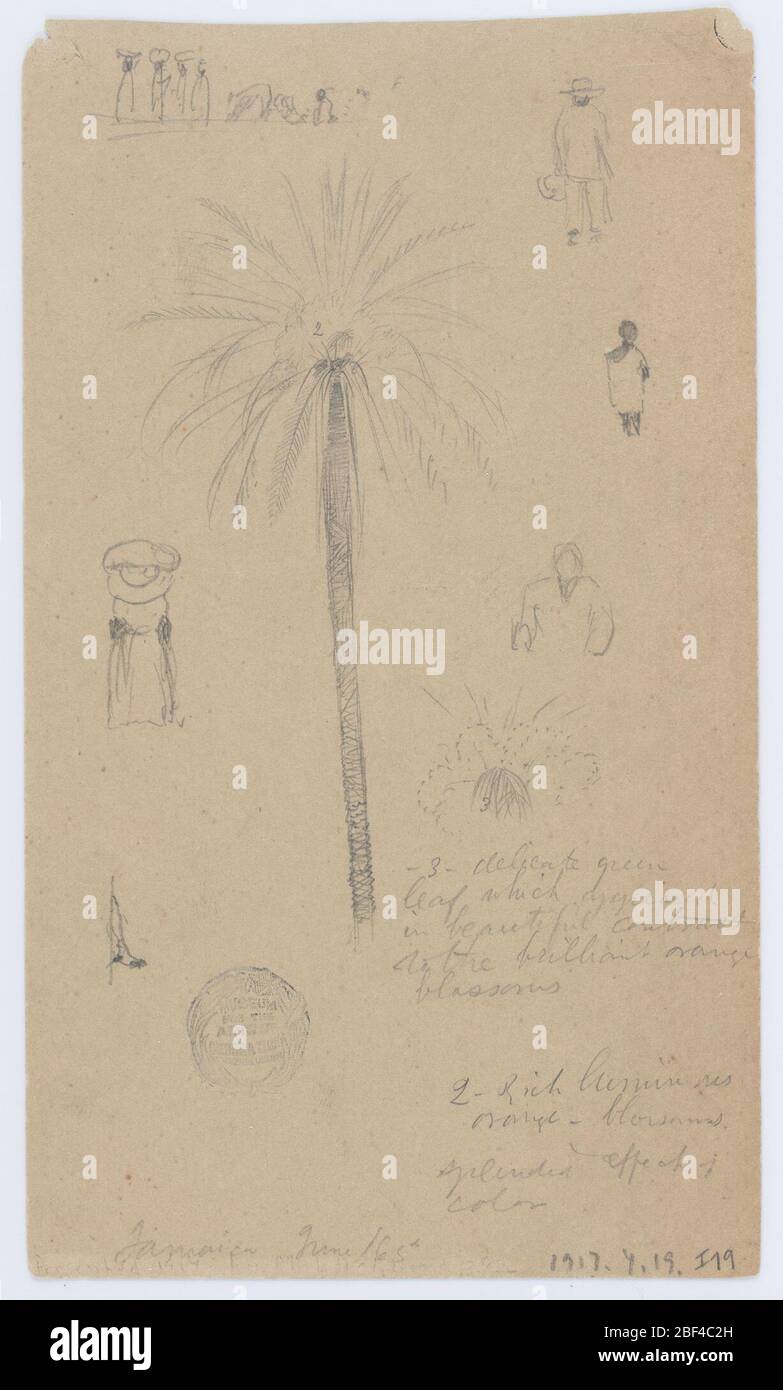 Sketches from Jamaica West Indies. Recto: Horizontal view showing: distant view of four women, three of whom carry loads upon their heads, of a seated person and some indistinct objects at top left; a walking man seen from the back at top right; a palm tree at center; a woman carrying a load up Stock Photo