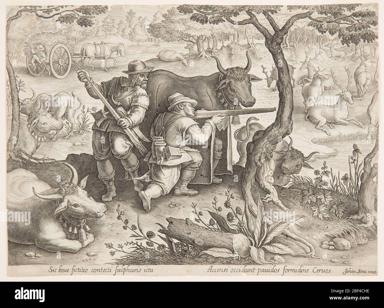 Inve High Resolution Stock Photography and Images - Alamy