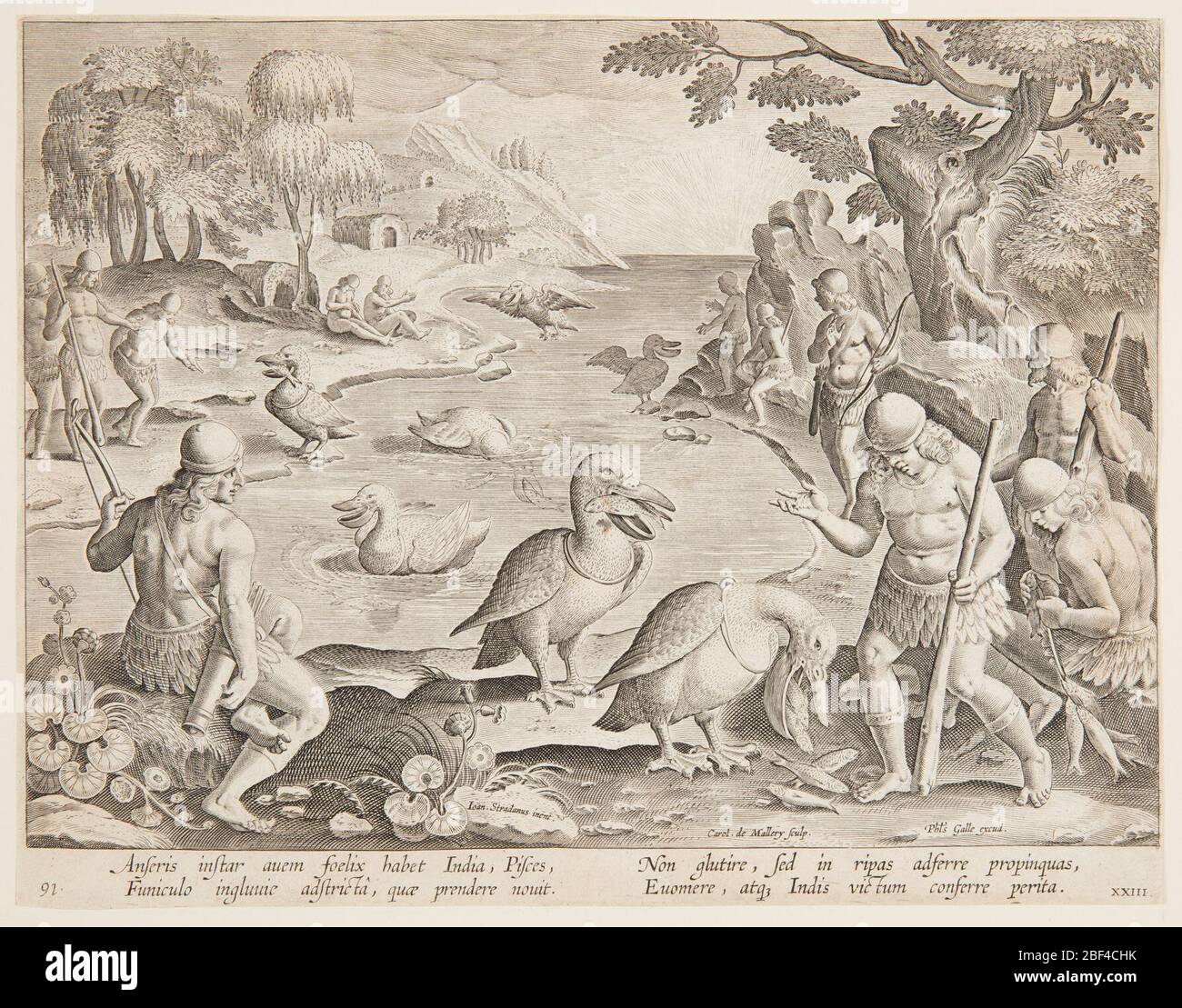 Indians Catching Fish with the Help of Pelicans plate 23 in the Venationes Ferarum Avium Piscium series. Horizontal rectangle. An inlet, with men standing on shore on both sides, watching the pelicans gather fish in their pouches. Each bird bears a ring about its throat to prevent it from swallowing its catch. Stock Photo