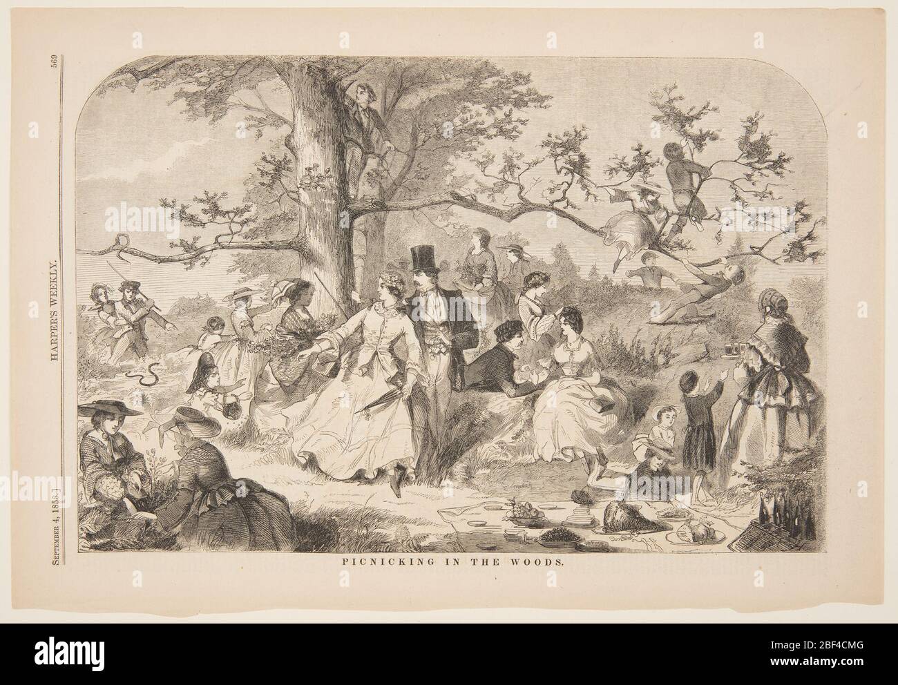 Picnicking in the Woods. Picknickers in the woods. Some of the party running away from a snake. Stock Photo