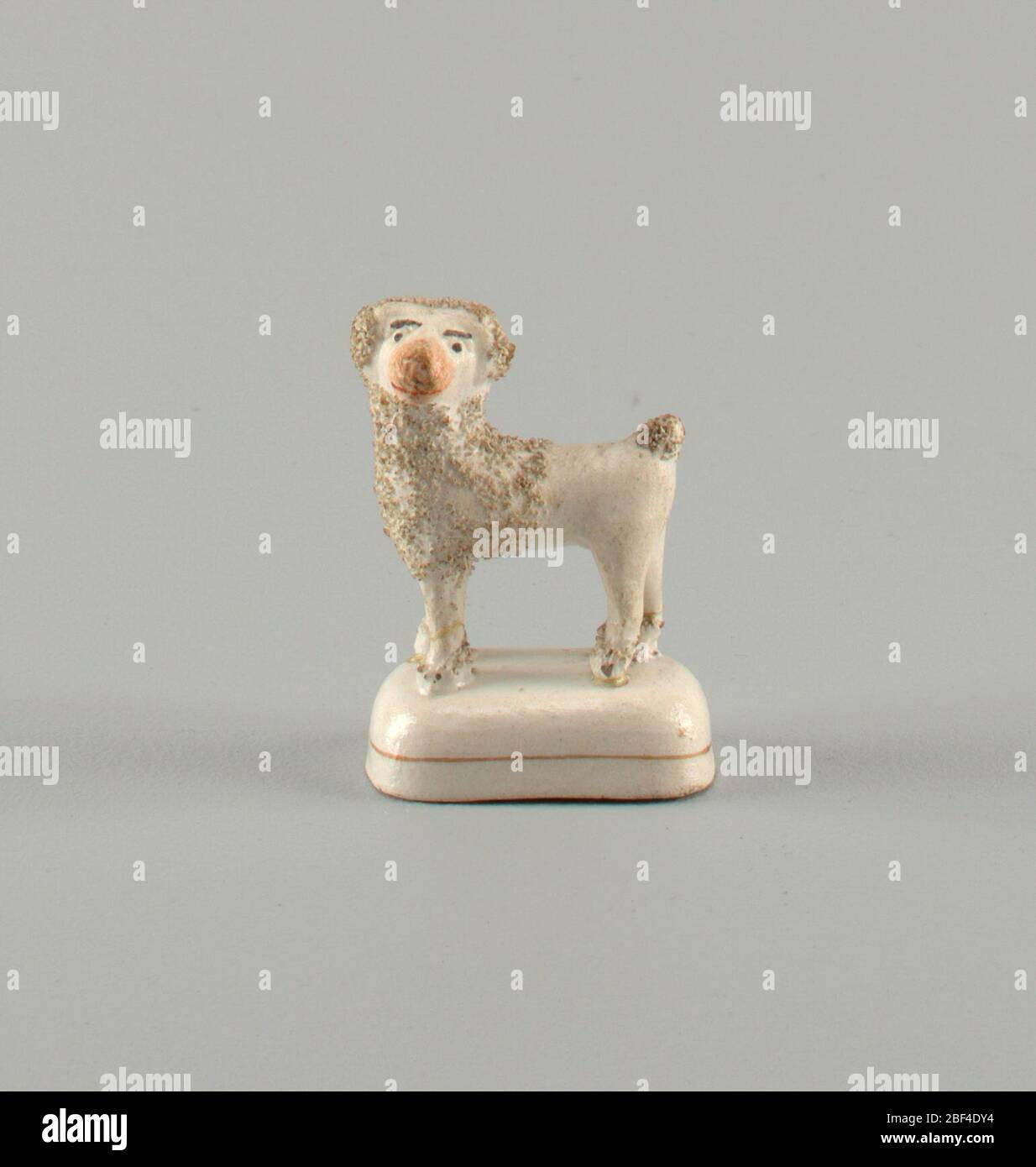 Why Is My Dogs Black Hair Turning Red