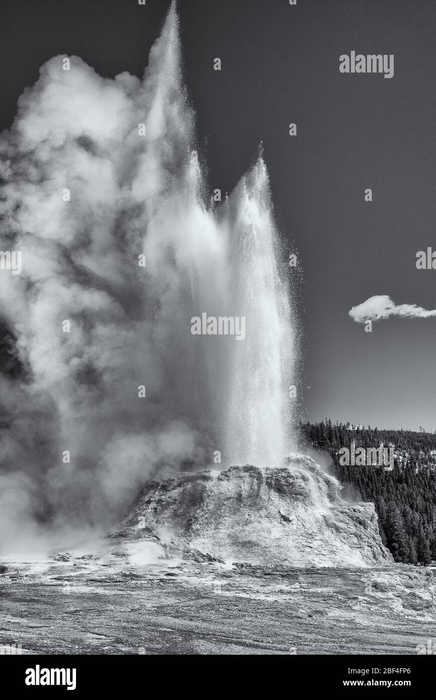 Castle Geyser erupting in Yellowstone National Park Stock Photo - Alamy