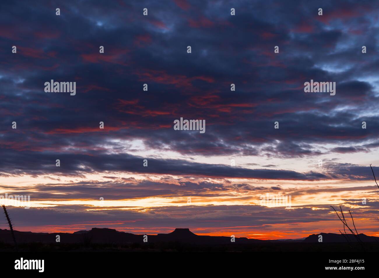 Sunrise over the desert in Big Bend National Park Stock Photo