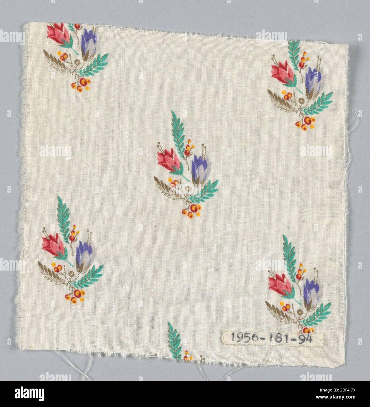 Fragment. Stock Photo