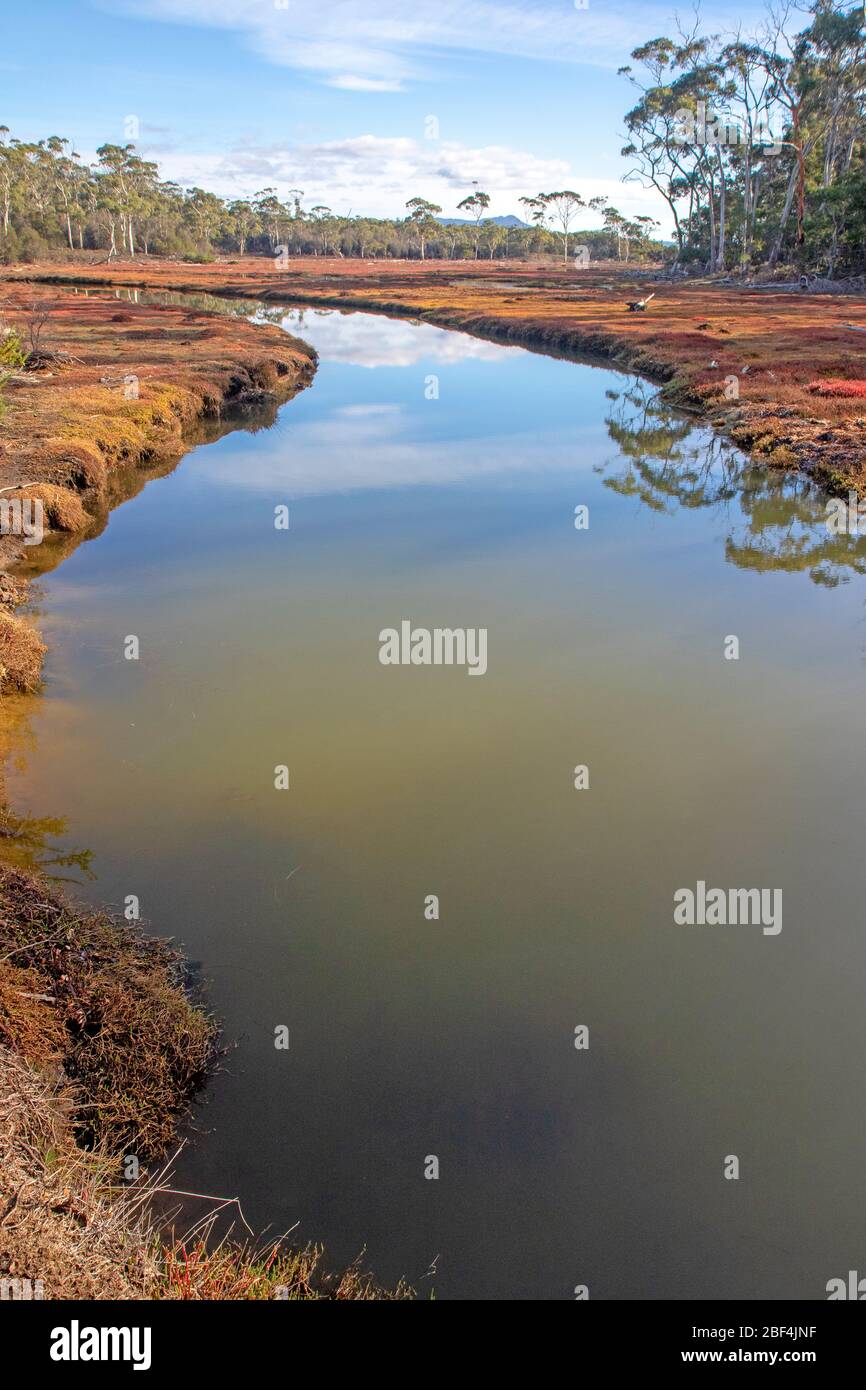 Four mile creek, tasmania hires stock photography and images Alamy