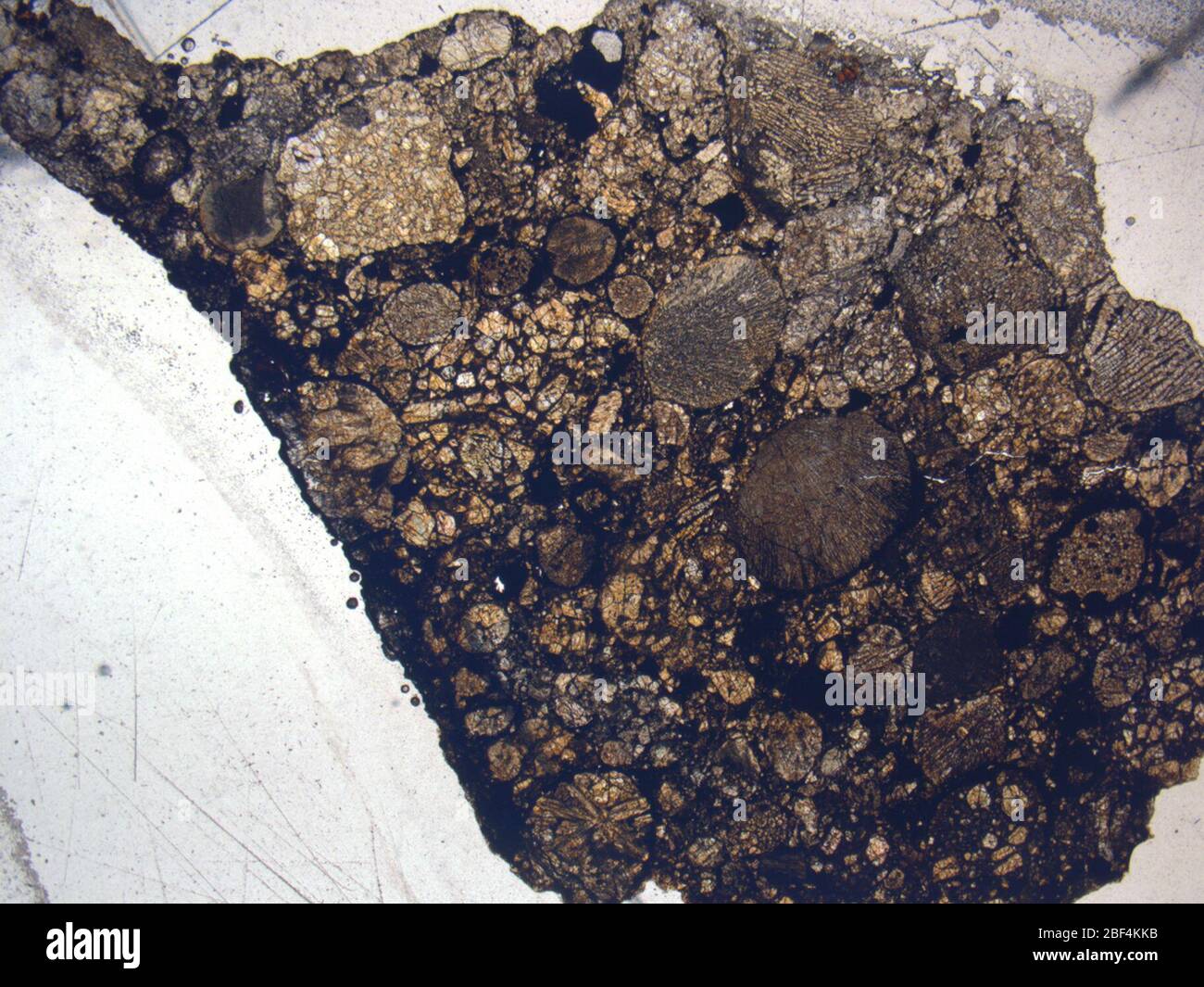 Micrograph of LAR 06279,2 meteorite under plane-polarized light at 1 ...