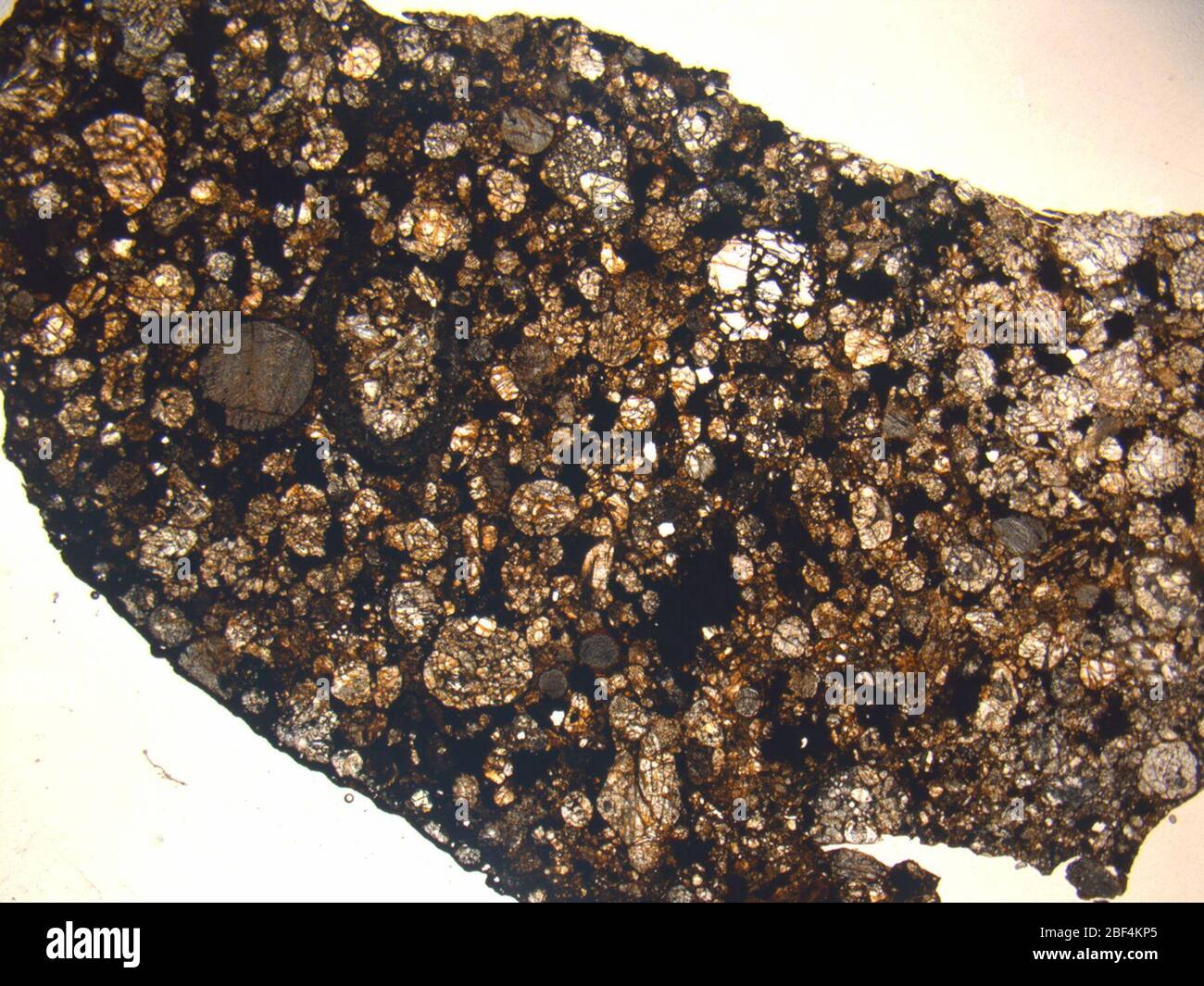 Micrograph of DEW 96601,2 meteorite under plane-polarized light at 1 ...
